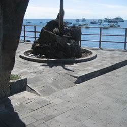 Galapagos Disabled Tours