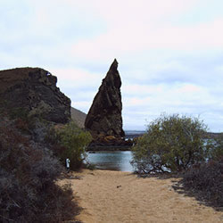 Galapagos Tours