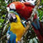 Ecuador Disabled Tours