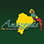 Amazonas Spanish School