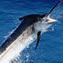 EQ Touring - Ecuador Tours Operator